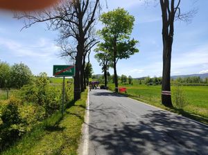 Zdjęcie drogi wojewódzkiej w Swidniku