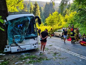 Rozbity autobus, służby oraz osoby poszkodowane podczas czynności ratowniczych