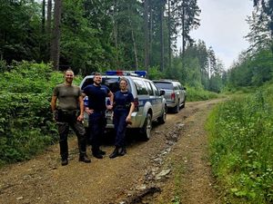 Policjanci ze strażą leśną stojący przy oznakowanych pojazdach policji i straży leśnej