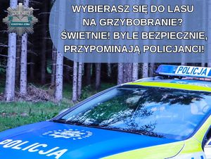 Policjanci przypominają o bezpieczeństwie podczas grzybobrania