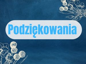 Podziękowania dla kamiennogórskich wykroczeniowców
