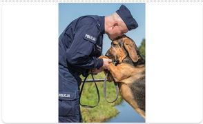Ponad 800 psów służbowych w Policji