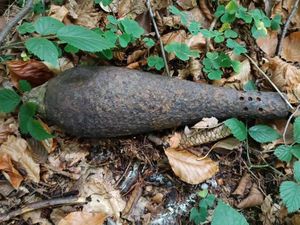 Niewybuch w kompleksie leśnym