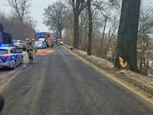 Pijany kierowca uderzył w drzewo - piłeś, nie jedź!